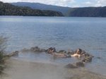 tarawera water taxi 533x400 hot water beach pool