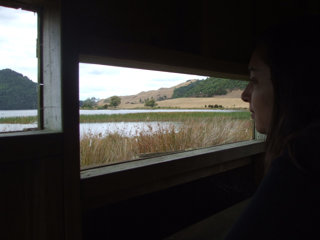 Bird watching in New Zealand