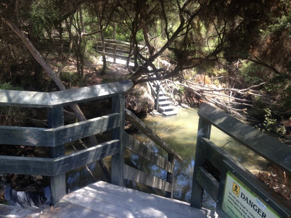 The hot stream also has a small pool. And it gets plenty hot.