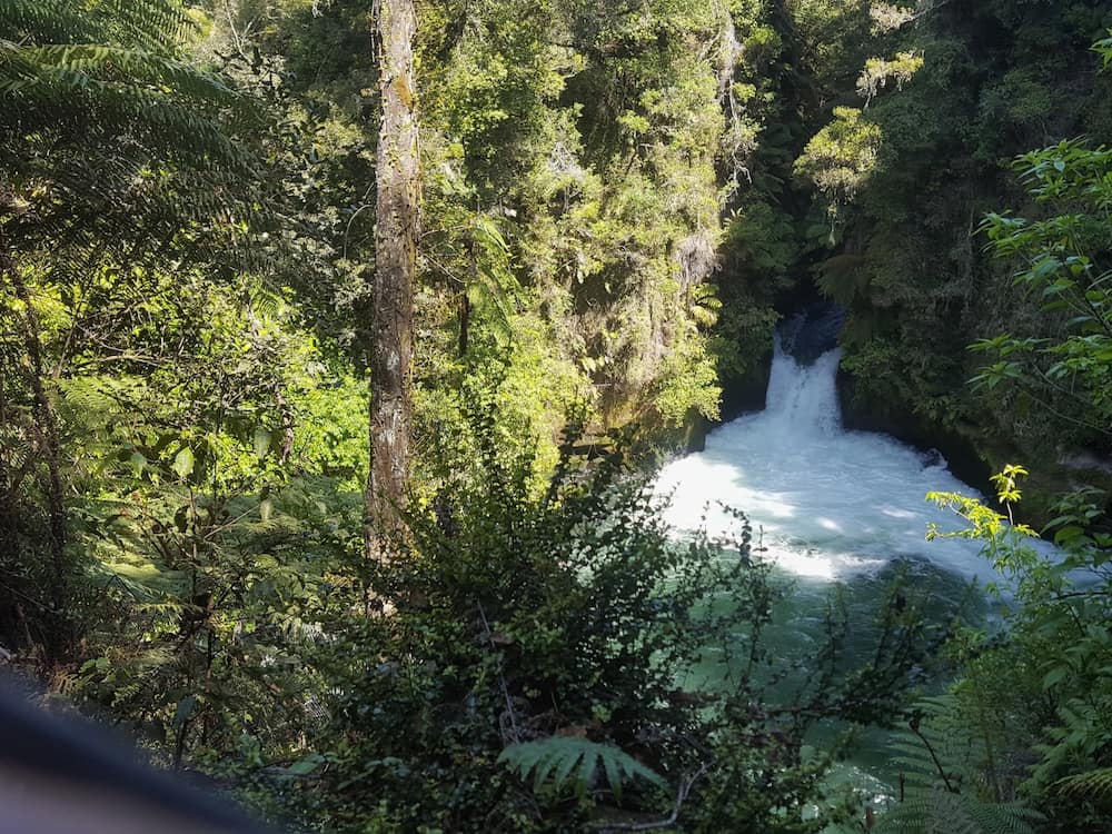 Kaituna River Falls