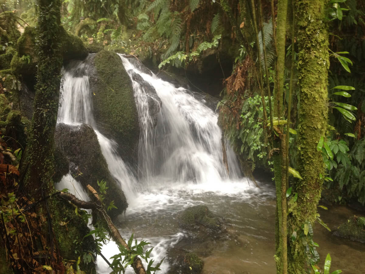 Wairere Falls