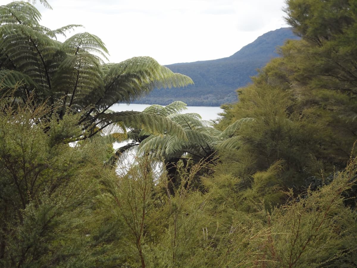 Mount Tarawera View