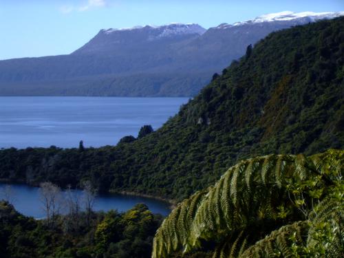 Rotorua weather is quite often unpredictable - snow on Mt Tarawera.