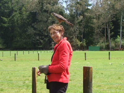 Wingspan Bird of Prey Centre Rotorua NZ