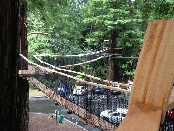 A bird's eye view from the upper platform of the Redwoods Treewalk, Rotorua, NZ.