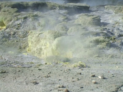 Legendary Te Puia Thermal Reserve | Rotorua | NZ