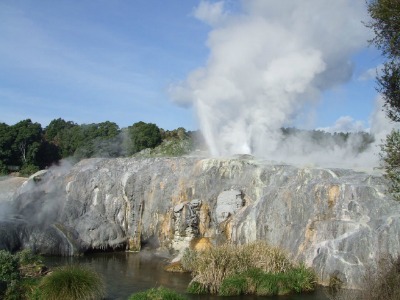 Legendary Te Puia Thermal Reserve | Rotorua | NZ