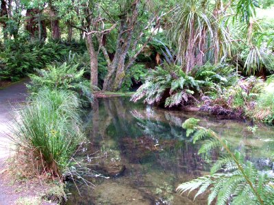 Te Wairoa River at the Buried Village